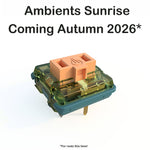 Load image into Gallery viewer, Ambients Silent Choc Switches
